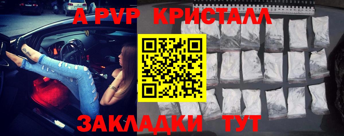 закладки  А ПВП СК  Вход с VPN  Alpha-PVP  Ревда  Alfa_PVP СК КРИС 