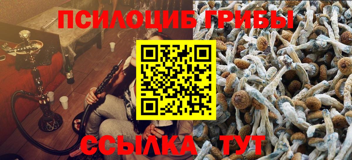 Галлюциногенные грибы Magic Shrooms  Псилоцибиновые грибы мухоморы  Ревда  как найти наркотики  Вход с VPN 